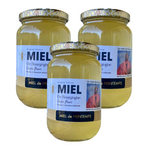 Pack x3 - Miel Printemps - 500 gr- Récolte mai 2023